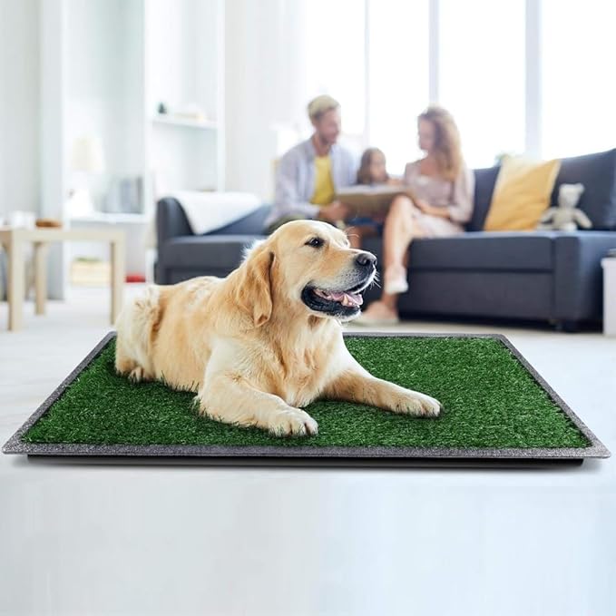 Dog Grass Puppy Training Pee Pad with Tray, Dog Potty with 2 Replacement Artificial Grass Pads, Portable Pet Toilet Washable Odor Free Little Box Indoor Outdoor Use-PurrikoPets