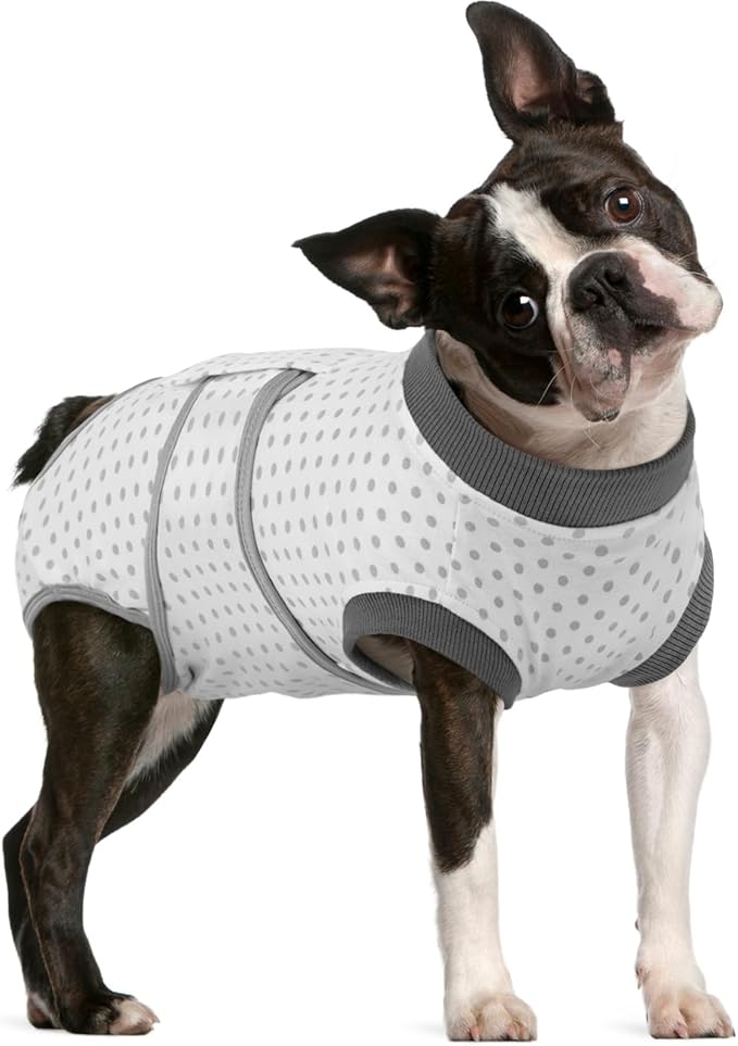FUAMEY Dog Recovery Suit Male,Dogs Surgery Neuter Suits Puppy Spay Shirts for Female Protect Dog's Skin Anti Licking Abdominal Wounds Doggie Onesie Pet Bodysuit Alternative to Cone Polka Dot M-PurrikoPets
