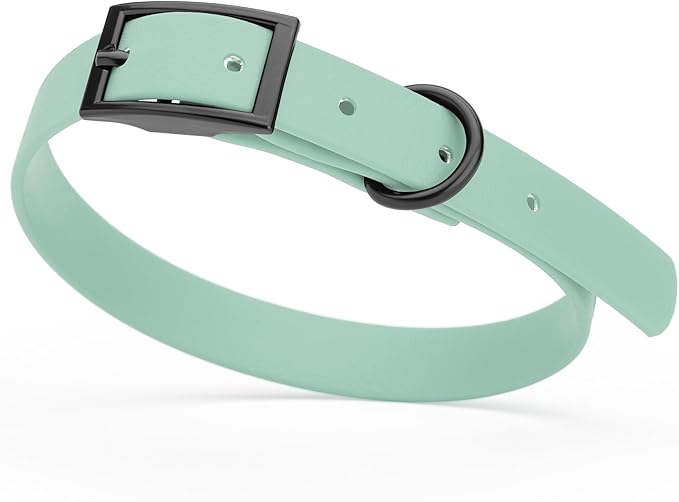 Dogline Biothane Waterproof Dog Collar Strong Coated Nylon Webbing with Black Hardware Odor- Proof for Easy Care Easy to Clean High Performance Fits Small Medium or Large Dogs, Sage Green-PurrikoPets