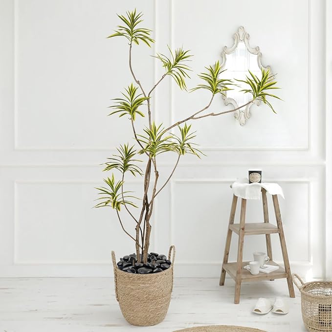 2 lbs Black Pebbles for Indoor Plants, 1-2 Inch Decorative River Rocks for Planters, Landscaping Stones, Vase Fillers and Outdoor Garden-PurrikoPets