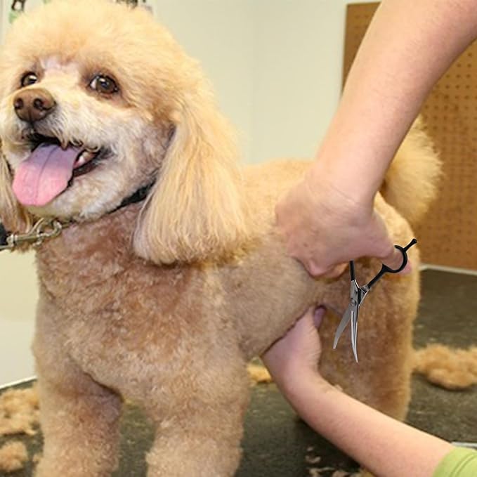 Dragon Creek 7" Upward Curved Dog Grooming Scissors - Safety Shears for Face & Paws Trimming - Black-PurrikoPets