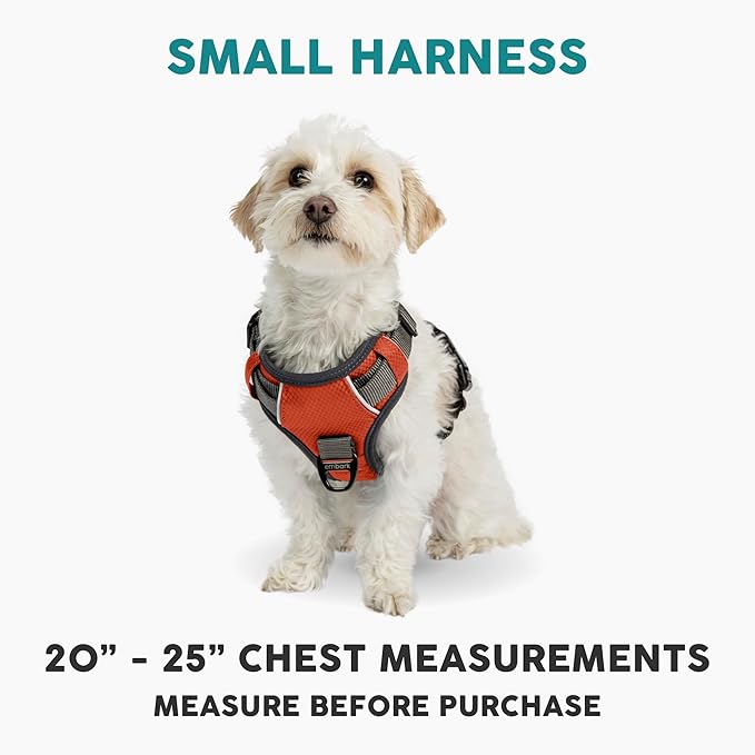 Embark Adventure Dog Harness, Reflective Trim No Pull Dog Harnesses for Small Sized Dogs - Military Grade Nylon, Front Clip with Gel Lined Handle.-PurrikoPets