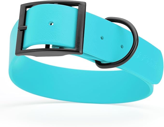 Dogline Biothane Waterproof Dog Collar Strong Coated Nylon Webbing with Black Hardware Odor- Proof for Easy Care Easy to Clean High Performance Fits Small Medium or Large Dogs, Sky Blue-PurrikoPets