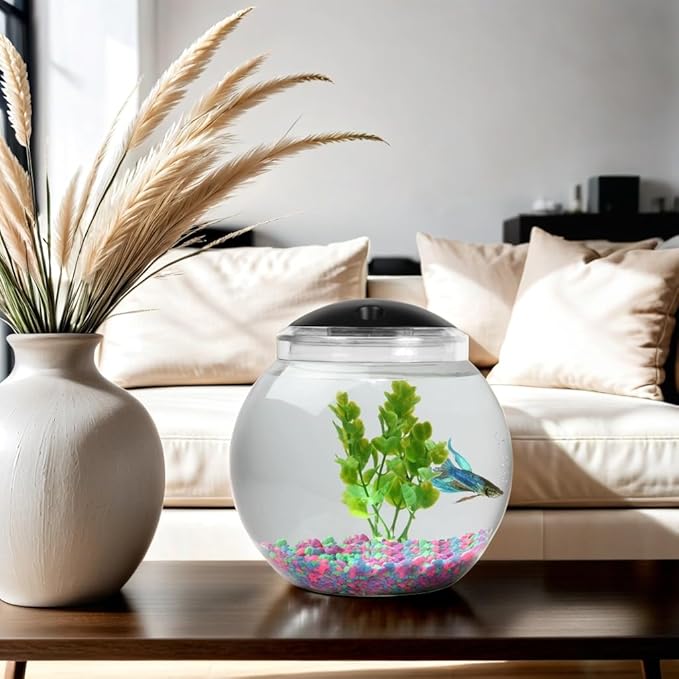 1-Gallon Globe Fish Tank with LED Lighting (7 Color Selections), Impact-Resistant Plastic-PurrikoPets