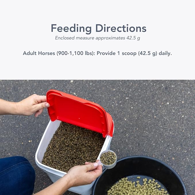 Gastro-Plex (6 lb) Supports Gut Health and Hindgut Digestion in Horses-PurrikoPets