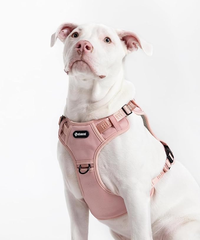 2025 New Edition, Fei & Eve MagEase Dog Harness - 3-Second Magnetic Buckles | 3-Point No-Pull Control | Heavy-Duty 900D Nylon | Dual Safety Handles | Breathable Mesh | Adjustable Fit | X-Large, Pink-PurrikoPets