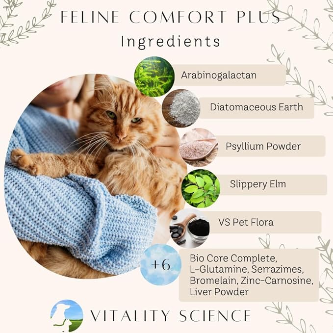 Feline Comfort Plus, Extra Drying Digestive Aid, GI Support Helps with Vomiting and Diarrhea, 100% Additive Free (Liver, Large)-PurrikoPets
