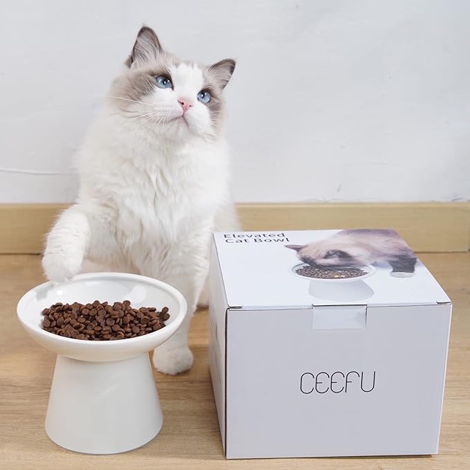 Extra Wide Elevated Ceramic Cat Bowl - 6.2" Shallow Dish for Whisker Fatigue Relief, 5" Height for Easy Feeding, Lead & Cadmium Free, Durable Raised Cat Food Bowls, White-PurrikoPets