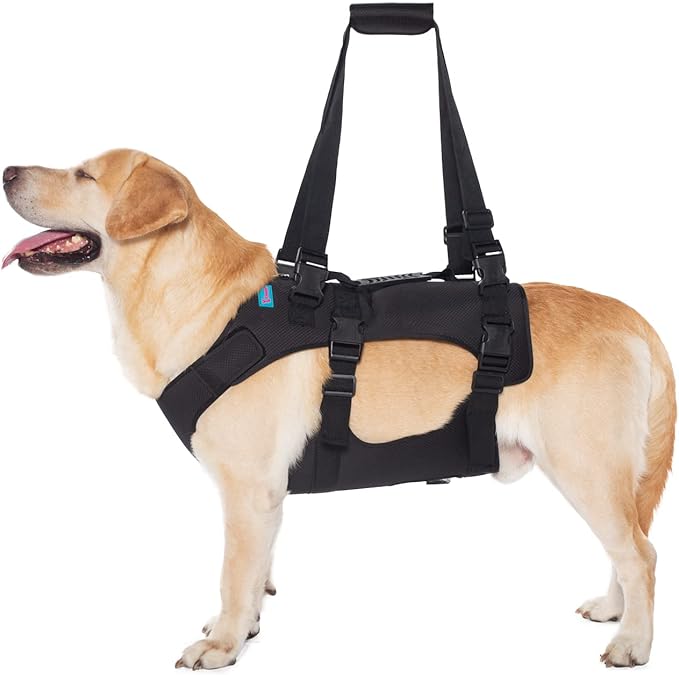 Dog Lift Harness, Rehabilitation Lifts Vest for Dogs, Support & Recovery Sling, Adjustable Breathable Lifting Straps for Old, Joint Injuries, Arthritis, Paralysis Dogs Walk (XL, Black)-PurrikoPets