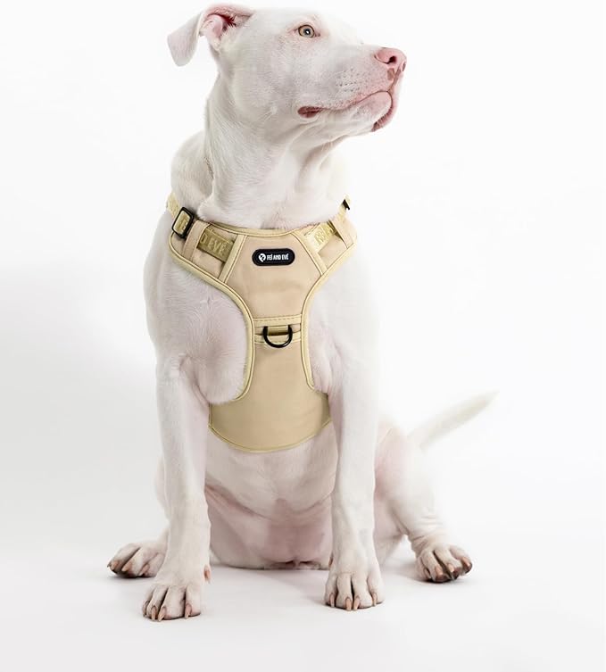 2025 New Edition, Fei & Eve MagEase Dog Harness - 3-Second Magnetic Buckles | 3-Point No-Pull Control | Heavy-Duty 900D Nylon | Dual Safety Handles | Breathable Mesh | Adjustable Fit, Large, Champagne-PurrikoPets