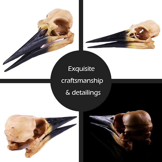 Fish Cave Hideout Ornament Décor for Terrarium Dinosaur Animal Skull Aquarium Large Decorations Betta Tarantula Reptile Snake Decor Bones Halloween-PurrikoPets