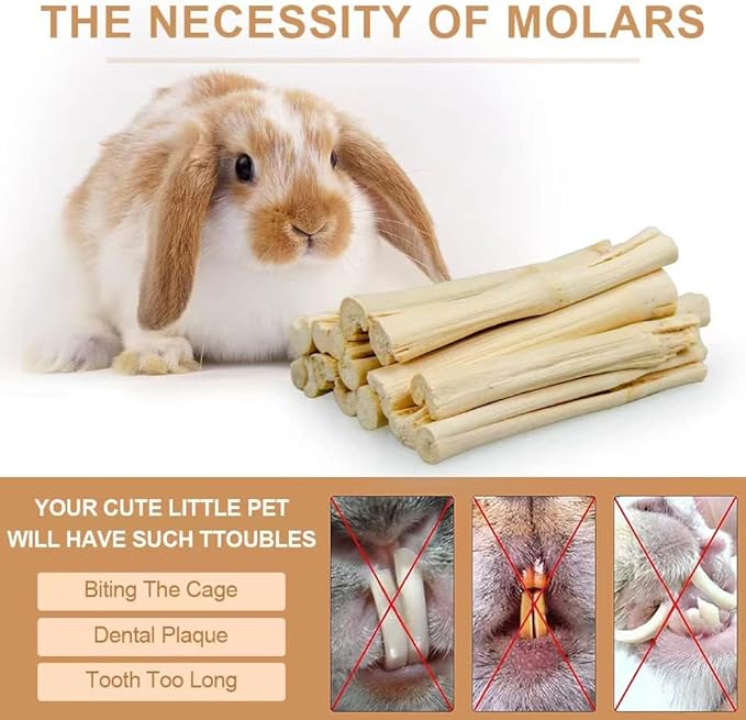 300g Guinea Pig & Rabbit Chew Toys with Apple & Timothy Sticks - Prevent Overgrown Teeth with Sweet Bamboo Treats - Ideal Rabbit Treats Included!-PurrikoPets