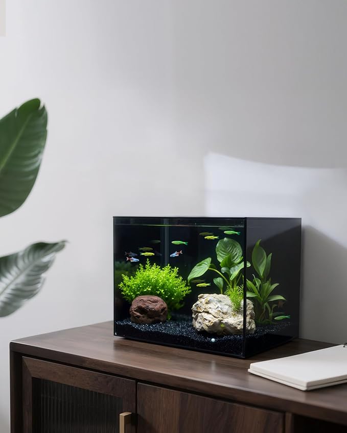 3 Gallon Clear Glass Fish Tank, Small Fish Tank Aquarium for Betta, Goldfish, Snail,Shrimp and Aquatic Planting-PurrikoPets