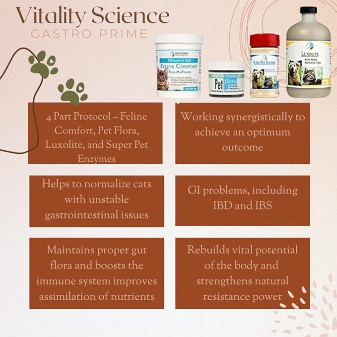 Gastro Prime Combo for Cats | Supports Normal GI Function and Improves Nutrient Assimilation-PurrikoPets