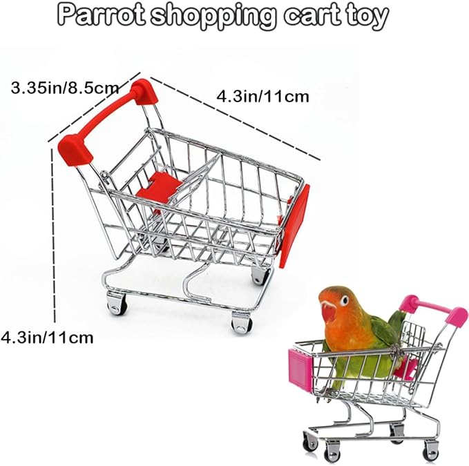 6pcs Interactive Puzzle Toy Set for Small Parrots - Training, Stress Relief, Include Coin Box, Bell Ball, Skateboard & Ferrule Toy for Bird Budgies, Cockatiels, Parakeet etc-PurrikoPets