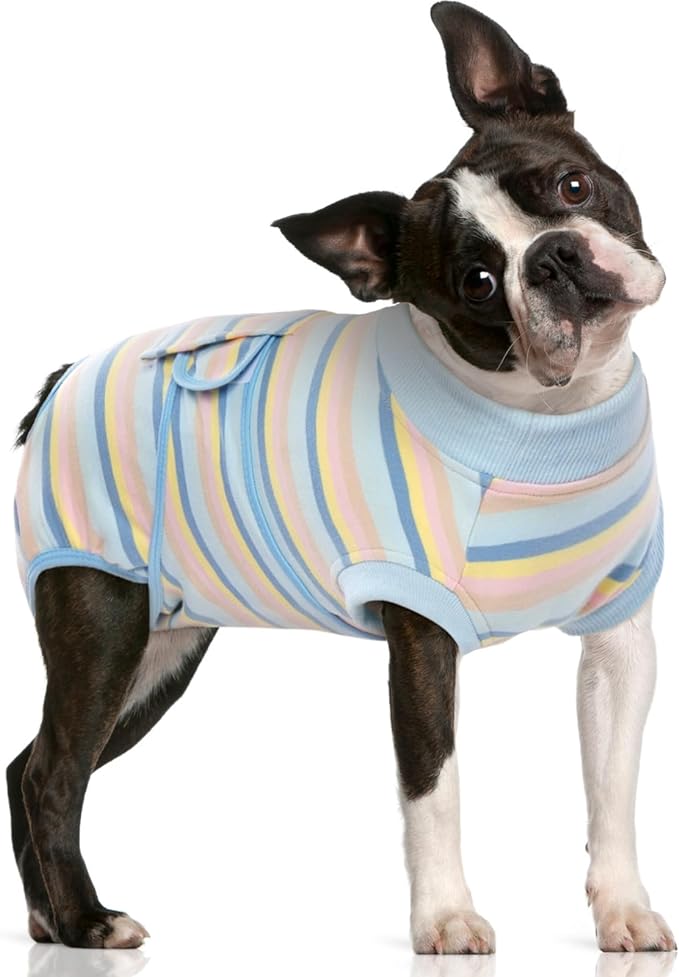 FUAMEY Recovery Suit for Dogs After Surgery,Soft Breathable Dog Bodysuit E-Collar & Cone Alternative Surgical Suit,Male Female Dog Neuter Spay Suits Anti Licking Wounds Onesie Blue Yellow Stripes L-PurrikoPets