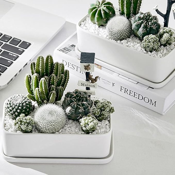 7lb White Cactus Pea Gravel Rocks,1/4 Inch Pebbles for Indoor Plants, Natural Succulent Rock and River Rocks Decorative for Aquariums, Vases, Outdoor Gardening, Top Dressing for Potted Plants-PurrikoPets