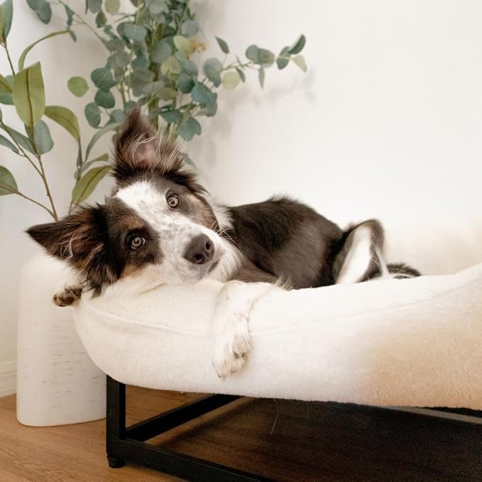 FUZI Luxury Aesthetic Dog Bed for Small Dogs with Washable Cover, Pet Couch, Pet Bed with Sides, Non-Slip Bottom, Soft and Durable Calming Dog Bed, Faux Rabbit Fur, Small 25.1x16.75x9.5 Soft White-PurrikoPets