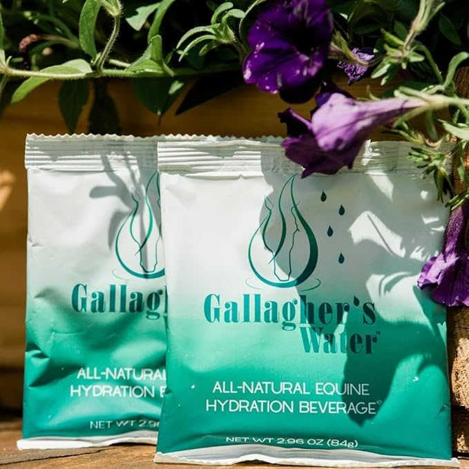 Gallagher's Water 12 Pack All-Natural Equine Hydration Treat - Enhancement Powder Mix Horse Drink Treat to Help Encourage to Drink Water - Made with All Natural Ingredients, FEI Compliant-PurrikoPets