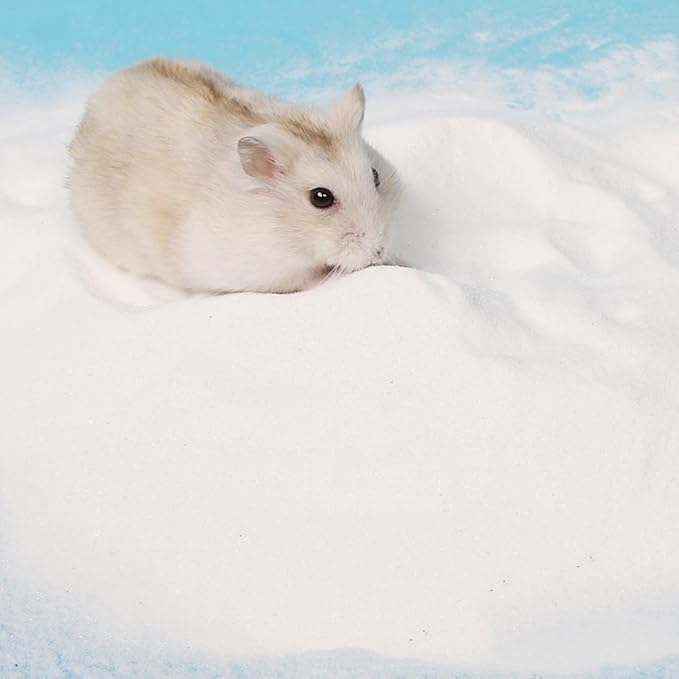 DR.DUDU Hamster Bath Sand, 12lb Dust Free Desert Sand or Potty Litter Sand for Hamster Chinchillas Gerbil Syrian Mice Small Animals (White)-PurrikoPets