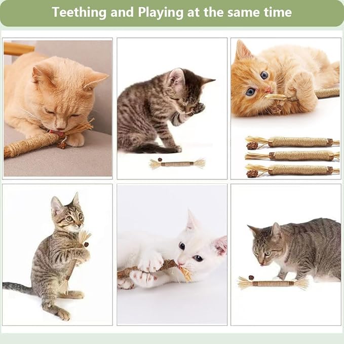 3 PCS Silvervine Sticks for Cats - Natural Cat Chew Toys for Teeth Cleaning, Kitten Teething & Aggressive Chewers-PurrikoPets