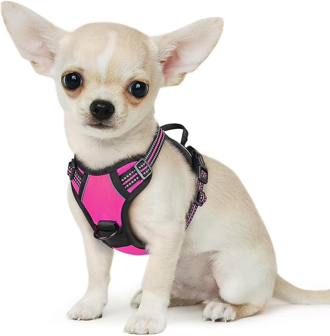Eagloo Small Dog Harness No Pull, Service Vest with Reflective Strips and Control Handle, Adjustable and Comfortable for Easy Walking, No Choke Pet Harness with 2 Metal Rings, Rose Red, XS-PurrikoPets