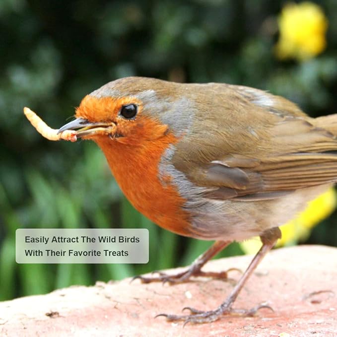 20lbs Mealworms, High-Protein Dried Mealworms for Birds, Chickens, Turtles, Fish, Hamsters and Hedgehogs, Non-GMO and Chemical Free, All Natural Animal Feed-PurrikoPets