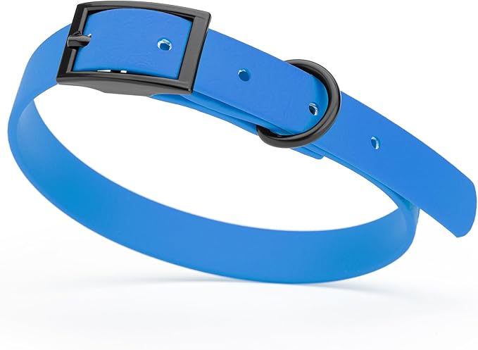 Dogline Biothane Waterproof Dog Collar Strong Coated Nylon Webbing with Black Hardware Odor- Proof for Easy Care Easy to Clean High Performance Fits Small Medium or Large Dogs, Cerulean Blue-PurrikoPets
