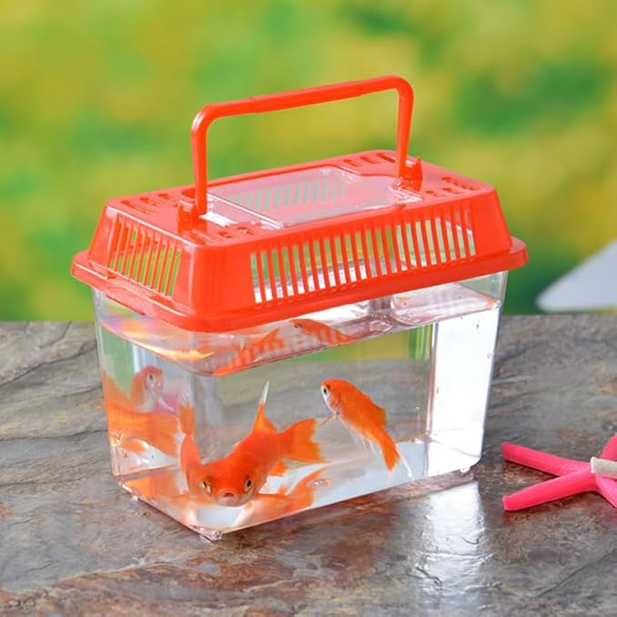 FRCOLOR Portable Plastic Turtle Tank - Transparent Aquarium Carrier Box for Small Pets Ideal for Hamsters Lizards and Fish Easy to Feed and Clean-PurrikoPets