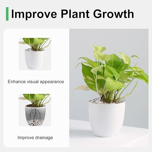 2.5 lbs Small Rocks for Plants, 1/5 Inch Pebbles for Indoor Plants, Natural Decorative Pea Gravel for Aquarium, Fish Tank, Terrarium, Succulents, Bamboo Plants, Vases, Cactus, Crafts-PurrikoPets