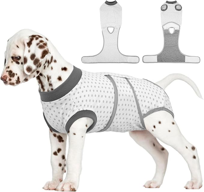 FUAMEY Dog Recovery Suit Male,Dogs Surgery Neuter Suits Puppy Spay Shirts for Female Protect Dog's Skin Anti Licking Abdominal Wounds Doggie Onesie Pet Bodysuit Alternative to Cone Polka Dot XS-PurrikoPets