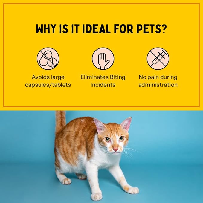 Fresh Breath Oral Strips for Dogs & Cats | Natural Spearmint & Thymol for Easy and Convenient, All-Natural Oral Care (30 Oral Dissolving Strips)-PurrikoPets