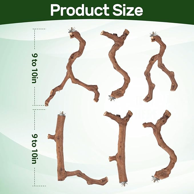 6-Piece Premium Bird Perch Stand with Natural Grape Wood Branch, Paw Grinding Fork, Chewing Stick, Cage Accessories for Parakeets, Budgies, Cockatiels, Finches, Lovebirds-PurrikoPets