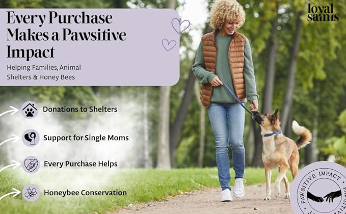 Freeze Dried Raw Dog Food - Premium Chicken Flavor with High Protein & Grain Free Dog Food for Small or Large Breeds and Picky Eaters - Versatile as Meal Topper, Pet Snack & Treats, 5 Oz-PurrikoPets