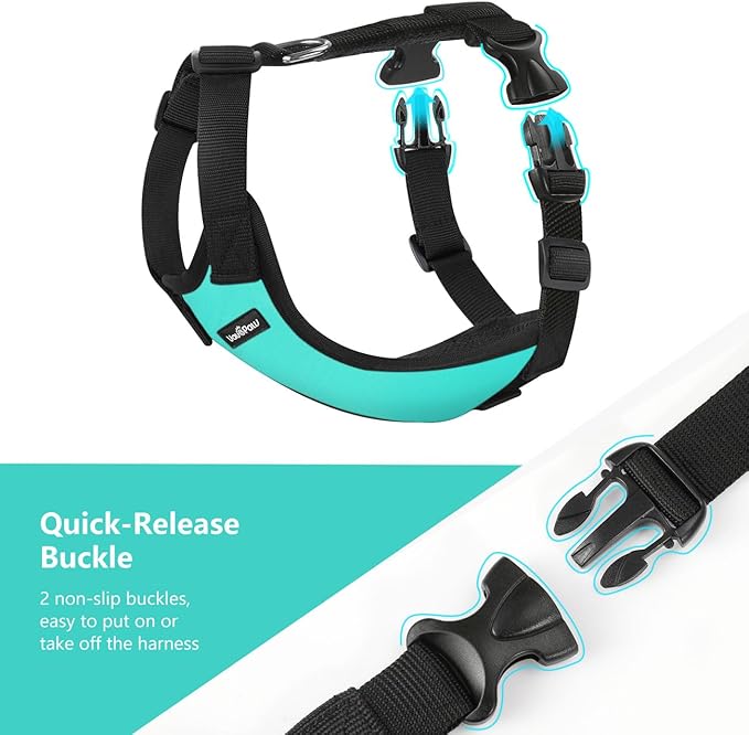 Dog Seat Belt, Safety Vest Dog Car Harness with Adjustable Buckle Dog Seat Belt for Vehicle Nylon Pet Safety Seat Belts Heavy Duty(XXL, Blue)-PurrikoPets