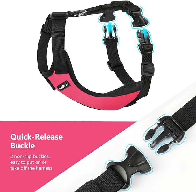 Dog Seat Belt, Safety Vest Dog Car Harness with Adjustable Buckle Dog Seat Belt for Vehicle Nylon Pet Safety Seat Belts Heavy Duty(XXL, Magenta)-PurrikoPets