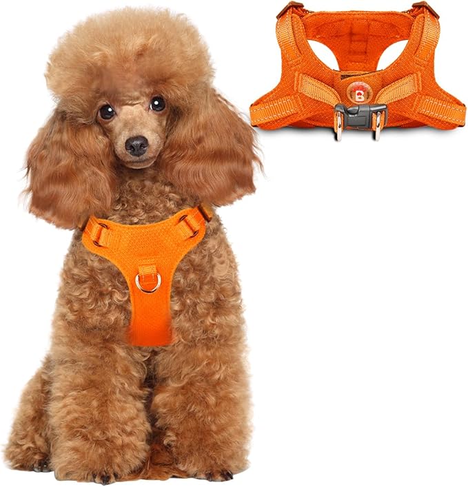 Dog Harness Step in Dog Vest Harness, Reflective Adjustable Puppy No Pull Harness Breathable Soft for Small and Medium Dogs Cats, Orange, XS-PurrikoPets