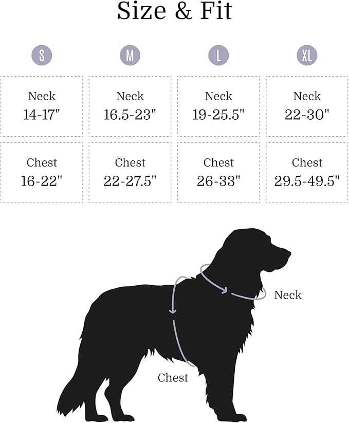 2025 New Edition, Fei & Eve MagEase Dog Harness - 3-Second Magnetic Buckles | 3-Point No-Pull Control | Heavy-Duty 900D Nylon | Dual Safety Handles | Breathable Mesh | Adjustable Fit | X-Large, Gray-PurrikoPets