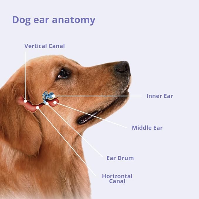 Flush 4oz-PurrikoPets