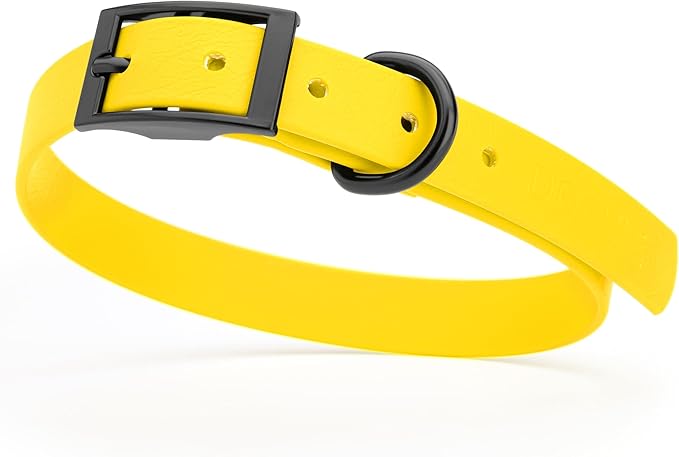 Dogline Biothane Waterproof Dog Collar Strong Coated Nylon Webbing with Black Hardware Odor- Proof for Easy Care Easy to Clean High Performance Fits Small Medium or Large Dogs, Lemon Yellow-PurrikoPets