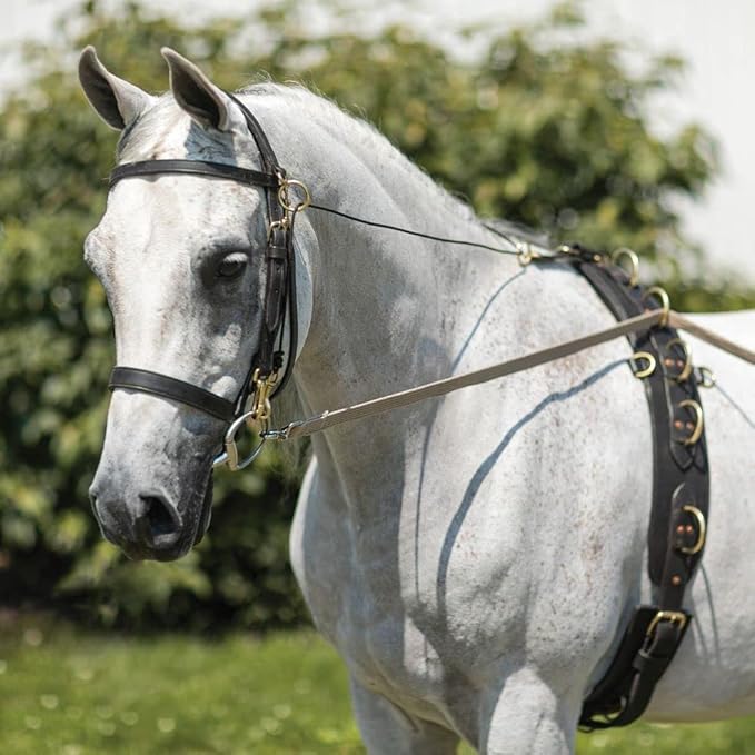 Dura-Tech Brown Cotton Web Long Lines | Ideal for Youngsters and Green Horses | for Beneficial Ground Training | Usable with Saddle or Surcingle | Heavy-Duty Cotton Web-PurrikoPets