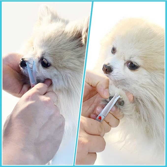 4.5" Straight Dog Scissors for Grooming Face and Paws with Safety Round Tip for Small Dogs Cats Face Paw Ears Trimmer Cat Grooming Scissors(4.5" Straight, Gray)-PurrikoPets