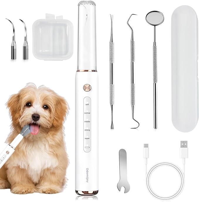 Dog Plaque Tartar Remover, Electric Toothbrush Teeth Cleaner Dental Care Kit for Dogs Cats- 5 Modes LED IPX6 Waterproof Auto-Stop Gum Protection USB Charge, 3 Brush Heads, Pet Teeth Cleaning Tools-PurrikoPets