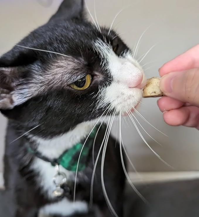 Freeze Dried Pork Heart Dog Treats Made in USA. All Natural Freeze-Dried Raw Snacks for Dogs and Cats. Single Ingredient. High Protein, Heart Health, Irresistible Training Treat-PurrikoPets