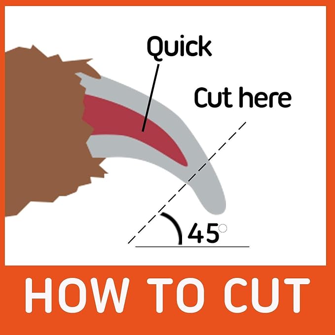 GoPets Grooming Kit Bundle with 2 Sided Dematting Comb and Deshedding Rake + Nail Clipper for Dogs and Cats Includes Nail File and Trimmer-PurrikoPets