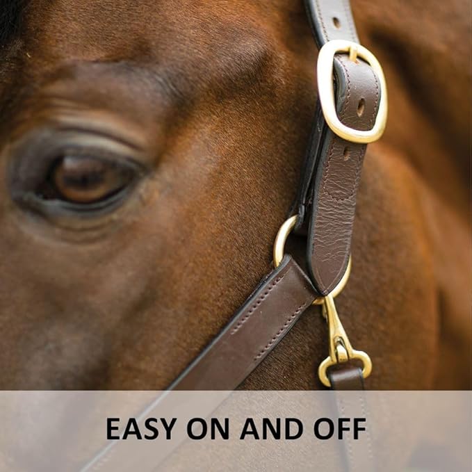 Dura-Tech Premier Lancaster Leather Halter for Horses | Simple Economy Leather Halter with Adjustable Fit & Solid Brass Hardware-PurrikoPets