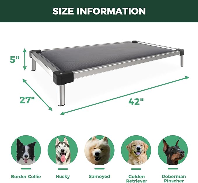 FXW TitanNest Chew-Proof Elevated Dog Bed, Raised Cot for Indoor/Outdoor/Camping Use, Durable & Washable Padded Pet Bed for Medium Dogs, 42.0" L x 27.0" W x 5.0" H, Gray-PurrikoPets