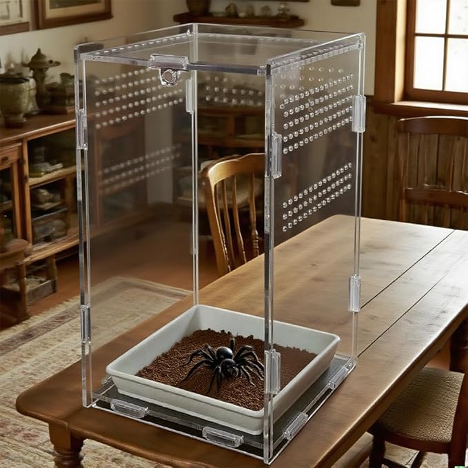 Acrylic Jumping Spider Enclosure,Reptile Enclosure,Bug Habitat, for Small Tree Dwelling Reptiles,Arboreal Tarantula Enclosure, Spider Terrarium Kit,Plastic Terrarium(4.7" X 4.7" X 8")-PurrikoPets