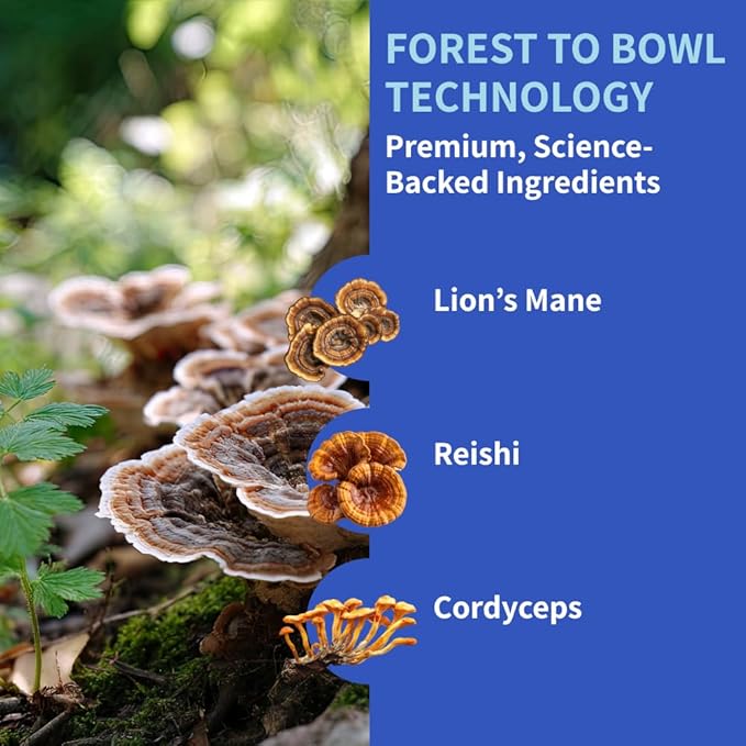 Dog Joint Supplement Powder with Glucosamine, Chondroitin & MSM – Hip & Joint Support for Mobility, Stiffness & Flexibility – Mushroom Blend with Lion’s Mane, Cordyceps & Reishi – Zoomy-PurrikoPets