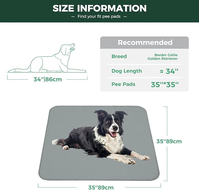 FXW Washable Pee Pads for Dogs, Puppy Pads with Super Absorbent, Specifically Designed for Potty Training, 35" Square, Gray, 2 Packs-PurrikoPets